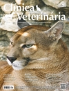 Clínica Veterinária 154