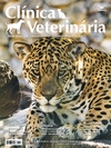 Clínica Veterinária 158