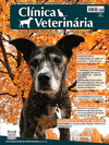 Clínica Veterinária 128