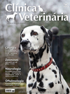 Clínica Veterinária 138