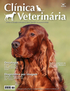 Clínica Veterinária 139