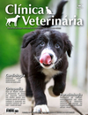 Clínica Veterinária 140