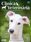 Clínica Veterinária 151