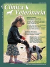 Clínica Veterinária 53