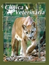 Clínica Veterinária 63