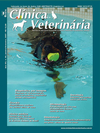 Clínica Veterinária 66