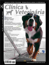 Clínica Veterinária 91