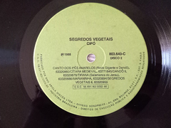 Dércio Marques - Segredos Vegetais - Discos The Vinil