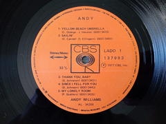 Andy Williams - Andy na internet