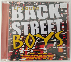 Backstreet Boys (Banda Cover) - Tribute
