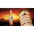 Sir EDWARDS Finest Blended Scotch Whisky x 700cc