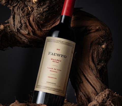 FAUSTO Old Vines Malbec 2019 FALASCO WINES