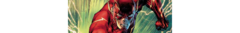 Banner da categoria Flash