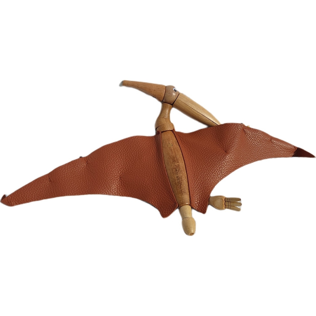 Pterodáctilo: Características e curiosidades