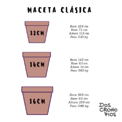 Maceta "Clementina" en internet