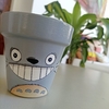 Maceta "Totoro Smile"