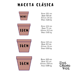 Maceta "Michi Latte" - comprar online