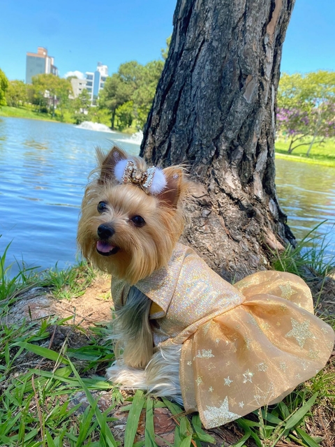 Vestido Cinderela - Comprar em Pet Chérie Boutique