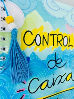 Controle de Caixa 19x27 - Analice Ateliê