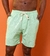 Shorts Ankor Linho Verde