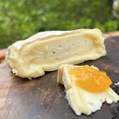 Queijo MinasBri - 250g