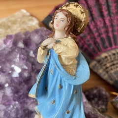 Imaculada Conceição - Imagem em Resina - comprar online