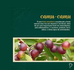 COMBO SUPER AMAZÔNIA - Açaí em pó + Camu-camu em pó + Guaraná em pó + Mangarataia em pó - loja online