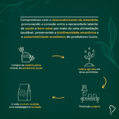 Cupuaçu em pó 200g - Terramazonia Superplants