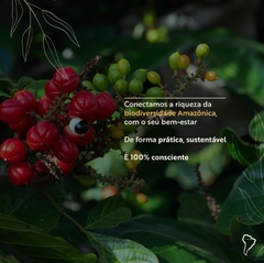 COMBO SUPER AMAZÔNIA - Açaí em pó + Camu-camu em pó + Guaraná em pó + Mangarataia em pó