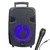 Parlante Inalambrico Bluetooth Oryx USB/SD/AUX c/ Micrófono | SP1146-2A CANCUN