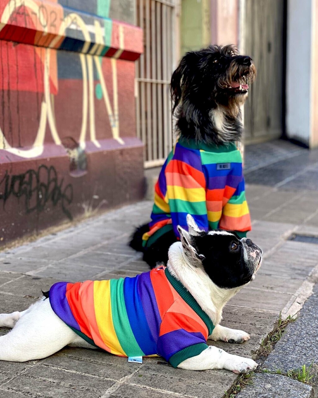 BUZO ARCOIRIS Comprar en MRBIGOTES.OK