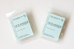 Pastilha de Cera - Wax Melt - Oceanside - comprar online