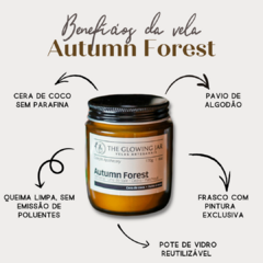 Vela aromática - Autumn Forest na internet