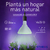 Lámpara Led de Crecimiento p/ Plantas ETHEOS 18w Full Spectrum en internet