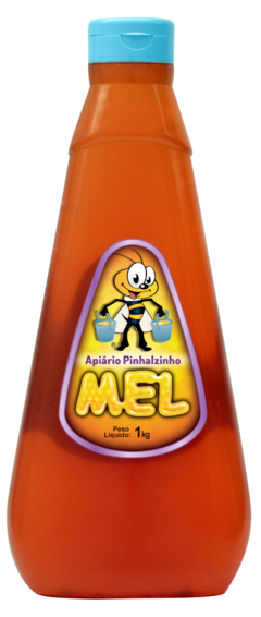 Mel Bisnagão Flor de Laranjeira- 1 Kg (cópia)