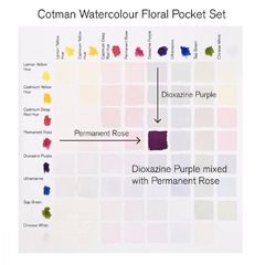 Estojo Aquarela Cotman Floral - Winsor & Newton - JCN Artes