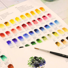 Cartela Cores Aquarela Winsor & Newton Profissional - loja online