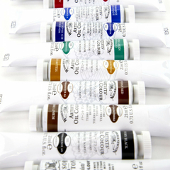 Estojo de Tinta Óleo Profissional Winsor & Newton C/10 Cores - JCN Artes