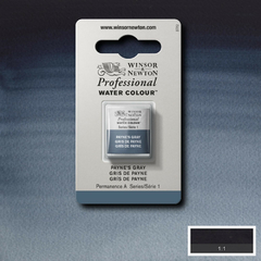 Tinta Aquarela Winsor & Newton Profissional Pastilha S1 465 Payne's Gray - comprar online