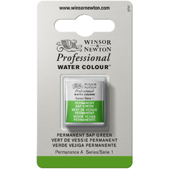 Tinta Aquarela Winsor & Newton Profissional Pastilha S1 503 Permanent Sap Green