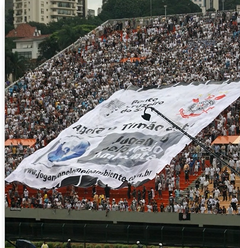 Banner da categoria Bandeirões