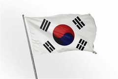 Bandeira da Coreia do Sul na internet