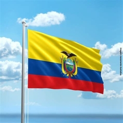 Bandeira do Equador na internet