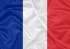Bandeira da França - comprar online
