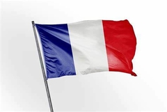 Bandeira da França na internet