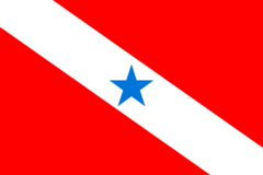 Bandeira do Pará