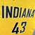 REGATA NBA SWINGMAN INDIANA PACERS-NIKE JORDAN-MASCULINA-Nº43 SIAKEM na internet