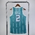 Imagen de REGATA NBA SWINGMAN CHARLOTTE HORNETS -NIKE JORDAN-MASCULINA-Nº 2 BALL