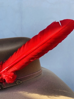 Pena para chapéu personalizada - cores lisas - Campesina Equestrian | Moda Country