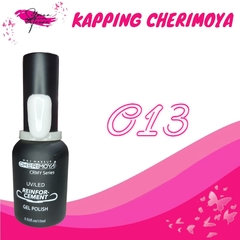 REINFORCEMENT 15ML #013